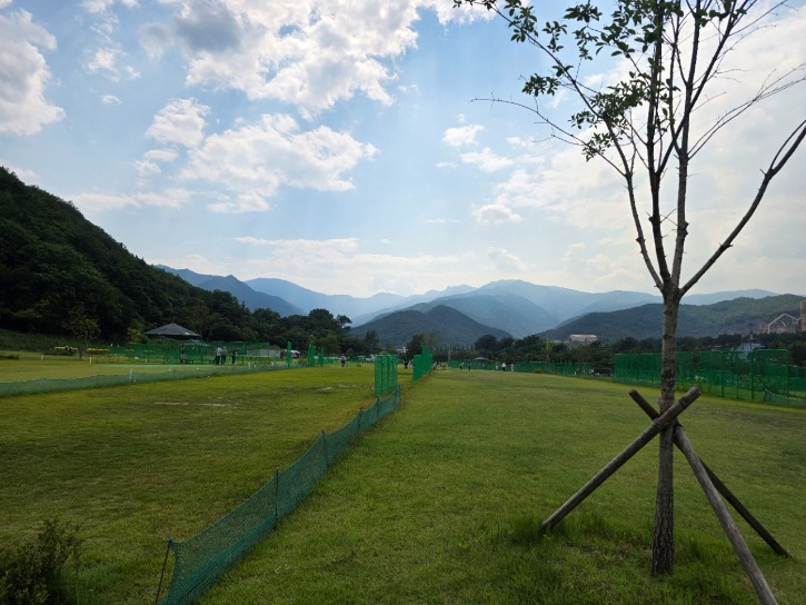 KakaoTalk_20260611_184116614_01.jpg
